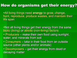 Consumers energy's smart meter program has been approved by the michigan public service commission (mpsc). How Do Organisms Get Their Energy