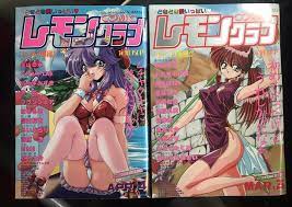 2) Collectible Japanese Adult Manga Anime Comics- ~ Great Condition LQQK! |  eBay