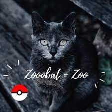 150 Pokemon Cat Names Pethelpful