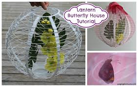 Check out our butterfly enclosure selection for the very best in unique or custom, handmade pieces from our garden decoration shops. Paper Lantern Butterfly House
