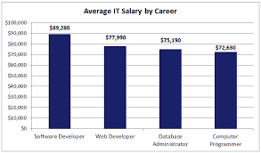 popular it careers in 2019 king university online