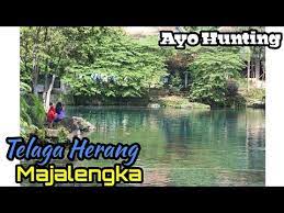 Htm telaga herang majalengka / sejuknya telaga herang desa padaherang majalengka guru geografi : Keindahan Telaga Herang Majalengka Si Danau Bening Ayo Hunting Youtube