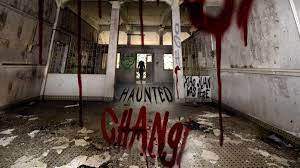 The story of a young man who has felt since childhood utterly alien from others around him. Haunted Changi Catchplay Watch Full Movie Episodes Online