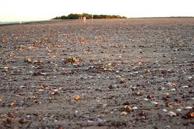 Detailed tide tables and charts with past and future low and high tides and heights. Walk To King Island From Wellington Point Brisbane Kids