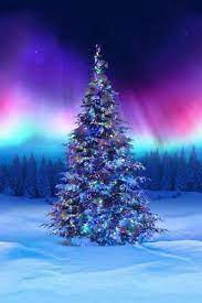 Borealis All Aglow Christmas Tree Digital Print Cotton Etsy Christmas Light Installation Hanging Christmas Lights Christmas Fabric
