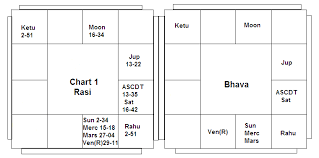 importance of bhava vedic astrology blog