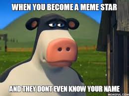 His Name Is Otis Perhaps Funny Memes Best Funny Pictures Otis