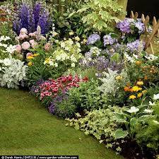 Pin By Chris Vega On Tuin Inspiratie Hydrangea Landscaping Hosta Gardens Cottage Garden