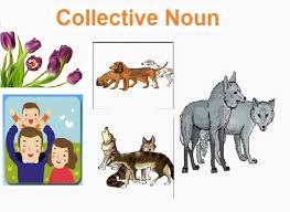 The table below shows a long list of collective nouns used in english. Understanding Of Collective Noun