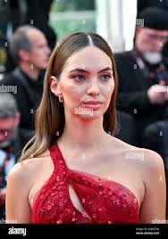 Daniel Vertiz's Instagram, Twitter & Facebook