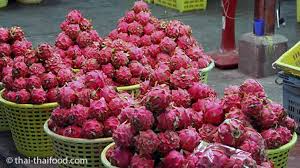 Dragon fruit or pitaya grows best in uniformly distributed rainfall throughout the year. Drachenfrucht Kaufen Kaeo Mangkon à¹à¸ à¸§à¸¡ à¸‡à¸à¸£ Thai Thaifood De
