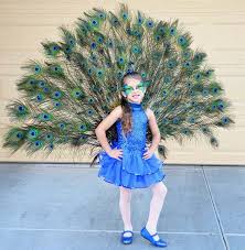 Nahfreies last minute kostum selbermachen als pfau zu fasching. Fasching Verkleidung Selber Machen Pfau Kostum Madchen Diy Kostume Kinder Madchen Faschingskostume Kinder Madchen Fasching Verkleidung