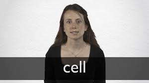 We did not find results for: Cell Definition Und Bedeutung Collins Worterbuch