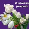 This imagini cu flori si martisoare has 1024px x 768px resolution. 1