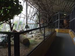 Been to zoologischer garten hof? Savannenhaus Zoologischer Garten Hof Der Beutelwolf Blog