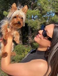 My granddog and the little guys is my great grandson who turns 2 tomorrow