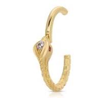 Snake Hinged Segment Rings
