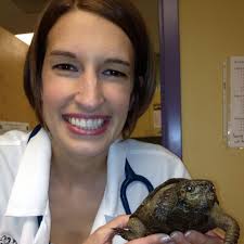Stacey Leonatti Wilkinson, DVM, DABVP (Reptile & Amphibian Practice)
