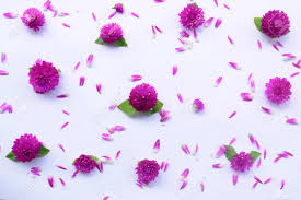 Maybe you would like to learn more about one of these? Valentine S Background Flowers Pattern Texture Can Used For Wallpaper Backdrop Or Skin Wall Tile Luxurious Stock Photo Picture And Royalty Free Image Image 86502442
