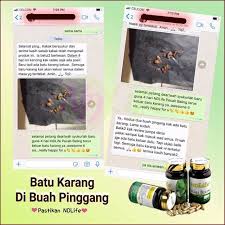 Bagi yang sedang menghadapi masalah batu karang yang tak berapa serius jugak boleh mulakan pengambilan cystone kerana cystone juga dapat menguraikan batu karang di buah pinggang dan menghalang jangkitan kuman pada saluran kencing. Pecah Beling Ubat Batu Karang Hempedu Shopee Malaysia