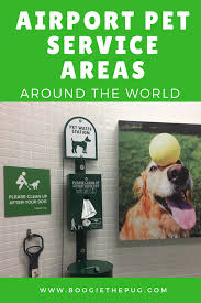 For appointments lasting an hour or less, we offer a service that includes waiting and returning them home. 19 Best Pet Transport Service Ideas Pet Transport Pet Transport Service Pets