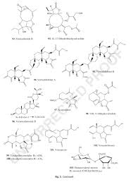 Image result for Vernonia karaguensis