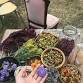 Creating Color with Natural Dyes event image