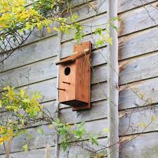 Image result for Flyte Blackbird Nest Box