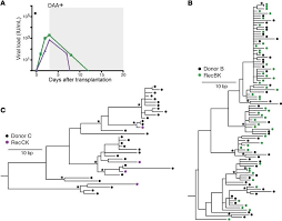 Jci High Multiplicity Of Infection Following