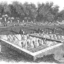 Indigo factory, 1850s. From Rural Life ...