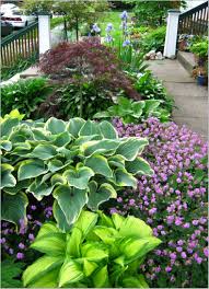 Hosta Gardens On Pinterest Plants Shade Garden And Heuchera Shaded Front Yard Landscaping 45f6a7e10c2f8f69316c9c9880eb5ead Ide Berkebun Kebun Taman Indah