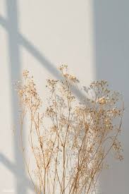 Scopri ricette, idee per la casa, consigli di stile e altre idee da provare. 44 Beige Aesthetic Ideas Beige Aesthetic Aesthetic Wallpapers Aesthetic Pictures