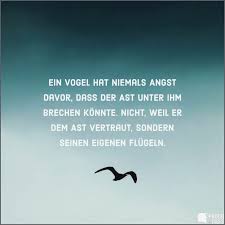 Lustige Zitate Zum Geburtstag Einzigartig Danksagungskarten Geburt