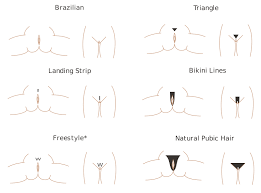 Your female pubic hair stock images are ready. Datei Pubic Hair Styles Svg Wikipedia