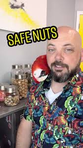 Safely feeding nuts to your parrot #parrot #parrotsoftiktok #birdcare  #macaw #aviculture #aceventurapetdetective #rsvlts