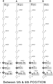 Technique Upright Bass Fingering Charts Faq Courtesy Of