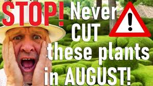 Cutting Back Herbaceous Perennials with Ben Hayman