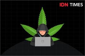 Itu bukannya daun cimeng yah? Akhirnya Mentan Batalkan Aturan Cimeng Jadi Tanaman Obat