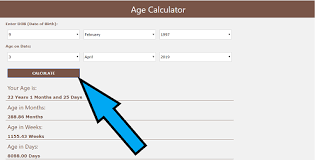 In other words, age calculator online helps you to determine how much time you have spent in our mother earth from birth. Age Calculator Online Calculate Age From Dob Or Date Of Birth