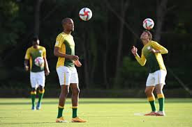 愛称は「bafana bafana（バファナ・バファナ）」で、 ズールー語 で「少年よ、少年たれ」（boys, be boys!）という意味 。. 2f4ompt7ap8iym