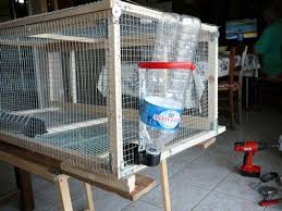 Exemple De Cage Pour Cailles Fabrication Maison Fabrication Maison Cage Caille