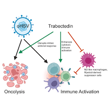 Image result for Trabectedin