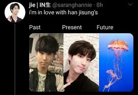 Pin By Rebecca Thomas On Skz In 2020 Kid Memes My Little Baby Kpop Memes