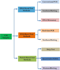 In this section we will discuss some methods which are presently used for the early detection of pests in greenhouse crops along with their advantages and disadvantages. Molecular Identification Of Genetically Modified Crops For Biosafety And Legitimacy Of Transgenes Intechopen