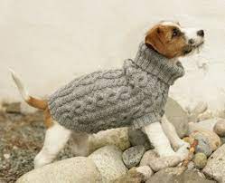Dies muss man unbedingt tun. Hundepullover Selber Stricken Oder Aus Einem Alten Pulli Basteln