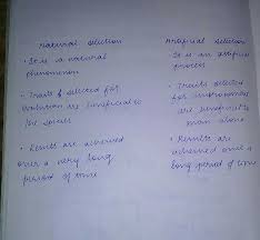 Which species is the best match for the. What Is Artificial Selection And Natural Selection