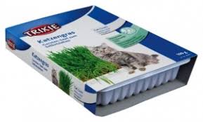 Enhance your cat's life with a healthy digestion. Tixie Cat Grass Kit Product Dabners Pet Shop