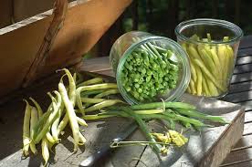 Conseils Pour Preparer Des Conserves De Haricots Recette Conserve Haricots Verts Haricots Verts Cuisiner Les Haricots