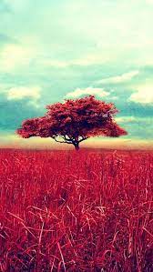 Lone Red Tree Iphone 5s Wallpaper Download Landscape Wallpaper Retro Wallpaper Iphone Vintage Style Wallpaper