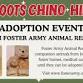 Adoption Event - Foster Army Animal Rescue event in Chino Hills, CA